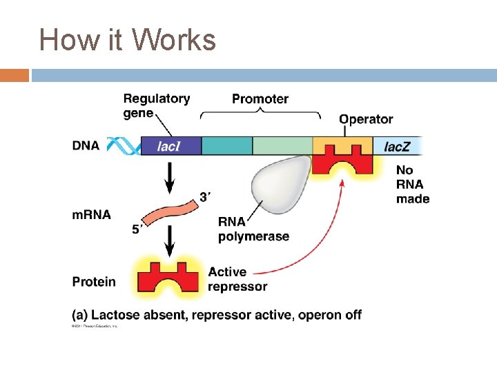 How it Works 