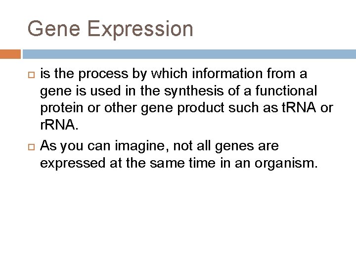 Gene Expression is the process by which information from a gene is used in