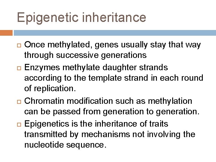 Epigenetic inheritance Once methylated, genes usually stay that way through successive generations Enzymes methylate