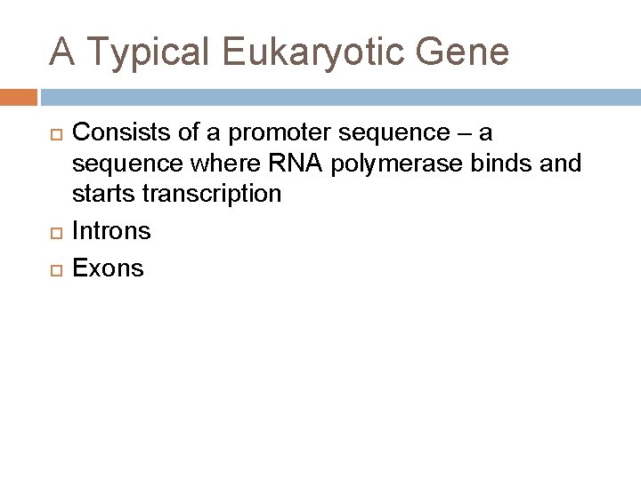 A Typical Eukaryotic Gene Consists of a promoter sequence – a sequence where RNA