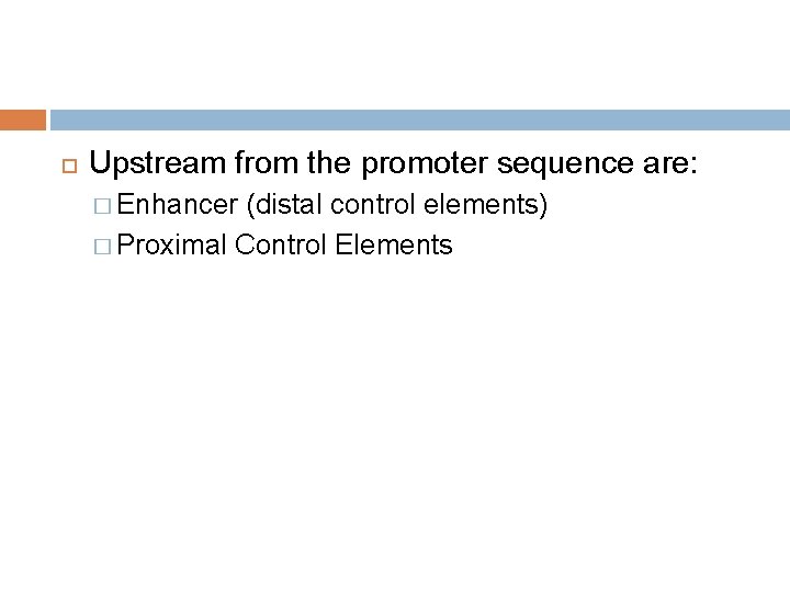  Upstream from the promoter sequence are: � Enhancer (distal control elements) � Proximal