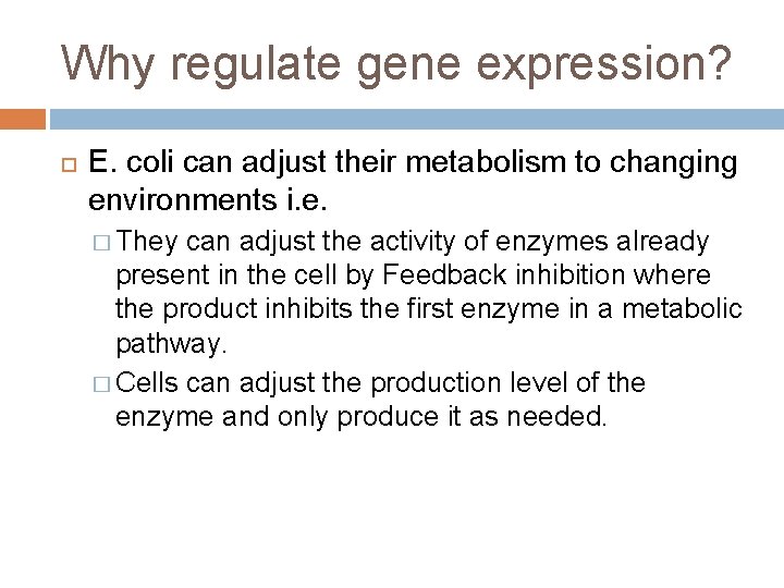 Why regulate gene expression? E. coli can adjust their metabolism to changing environments i.