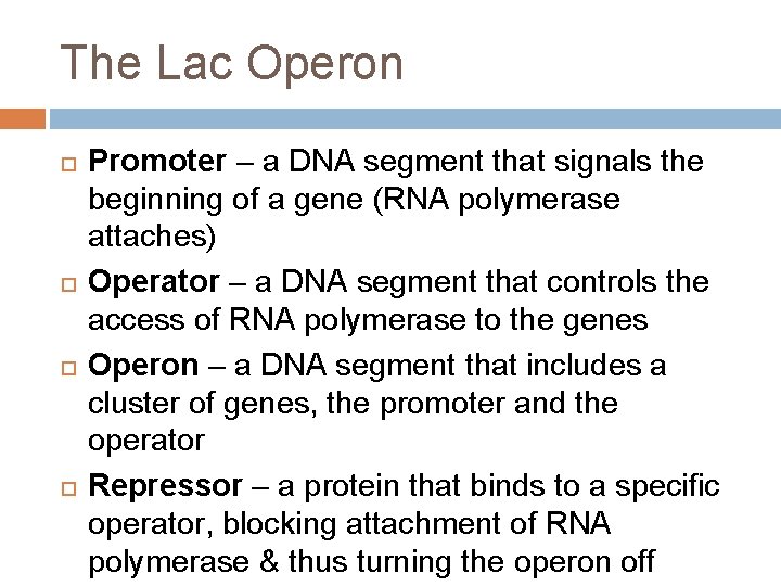 The Lac Operon Promoter – a DNA segment that signals the beginning of a