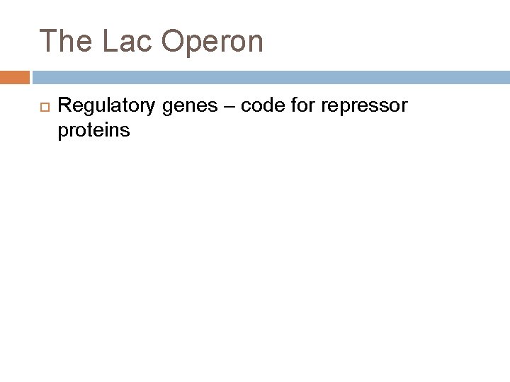 The Lac Operon Regulatory genes – code for repressor proteins 