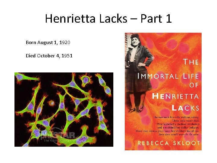 Henrietta Lacks – Part 1 Born August 1, 1920 Died October 4, 1951 