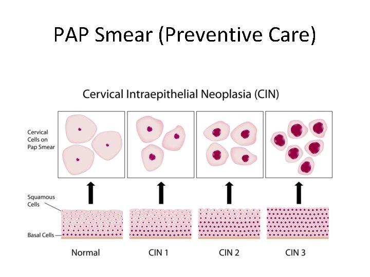 PAP Smear (Preventive Care) 