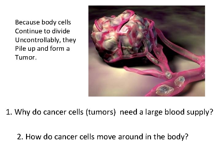 Because body cells Continue to divide Uncontrollably, they Pile up and form a Tumor.