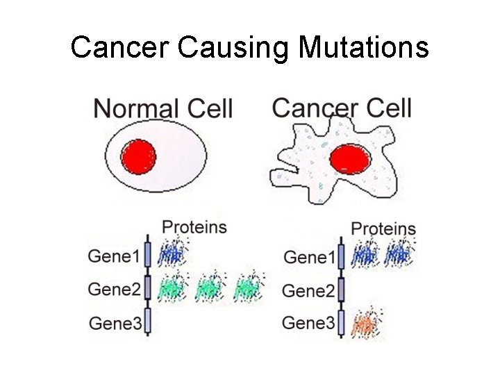 Cancer Causing Mutations 