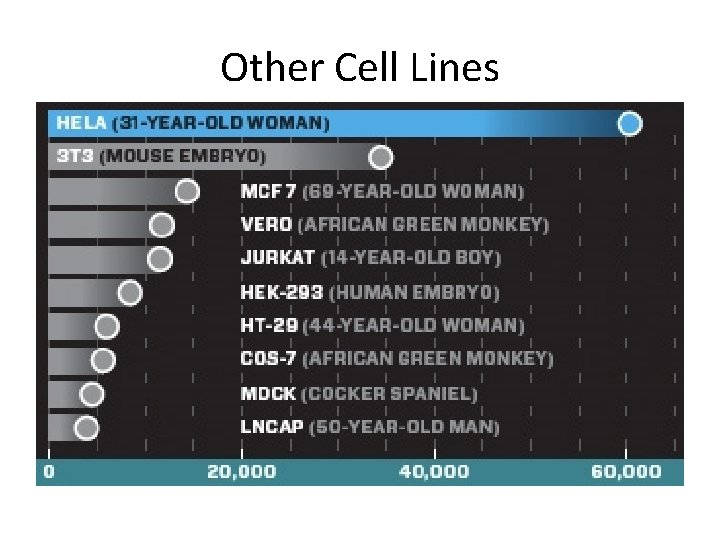 Other Cell Lines 
