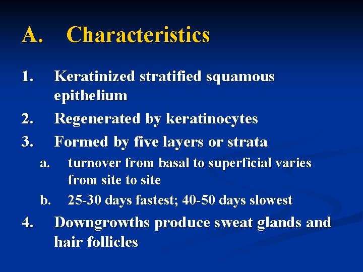 A. Characteristics 1. Keratinized stratified squamous epithelium Regenerated by keratinocytes Formed by five layers