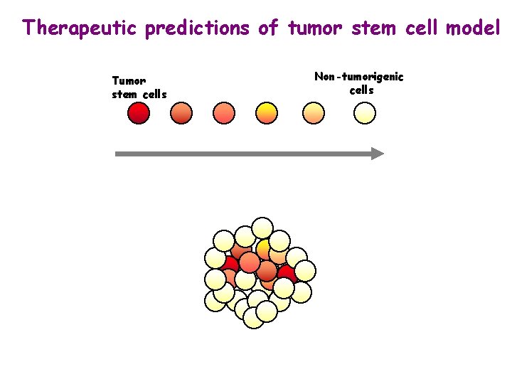 Therapeutic predictions of tumor stem cell model Tumor stem cells Non-tumorigenic cells 