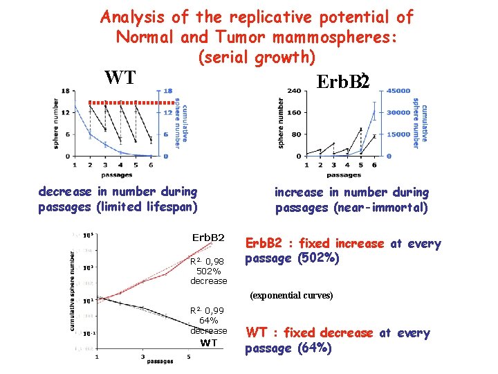 Analysis of the replicative potential of Normal and Tumor mammospheres: (serial growth) WT Erb.