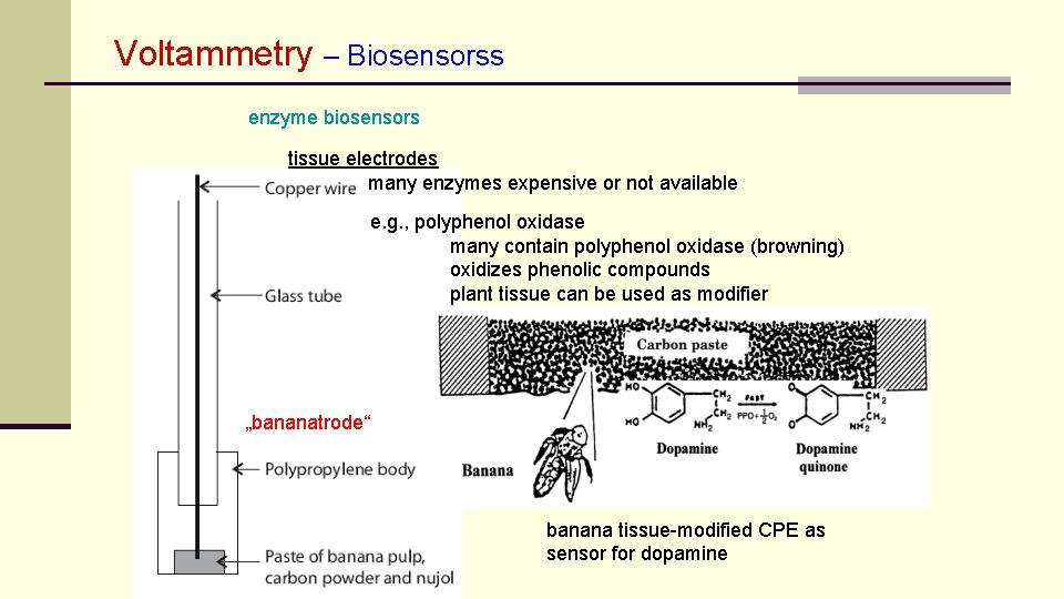 Voltammetry – Biosensorss enzyme biosensors tissue electrodes many enzymes expensive or not available e.