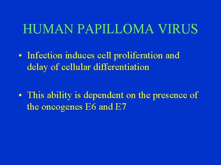 HUMAN PAPILLOMA VIRUS • Infection induces cell proliferation and delay of cellular differentiation •