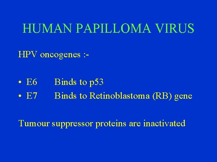 HUMAN PAPILLOMA VIRUS HPV oncogenes : - • E 6 • E 7 Binds