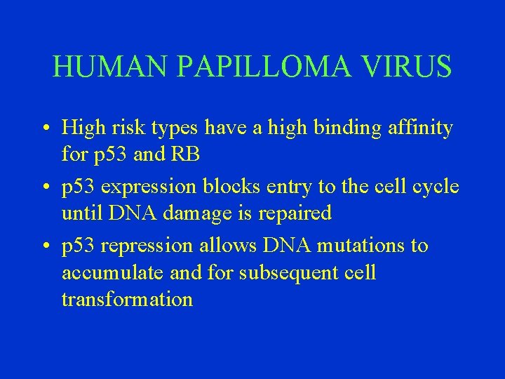 HUMAN PAPILLOMA VIRUS • High risk types have a high binding affinity for p