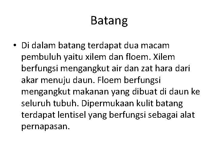 Batang • Di dalam batang terdapat dua macam pembuluh yaitu xilem dan floem. Xilem