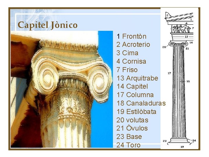 Capitel Jònico 1 Frontòn 2 Acroterio 3 Cima 4 Cornisa 7 Friso 13 Arquitrabe