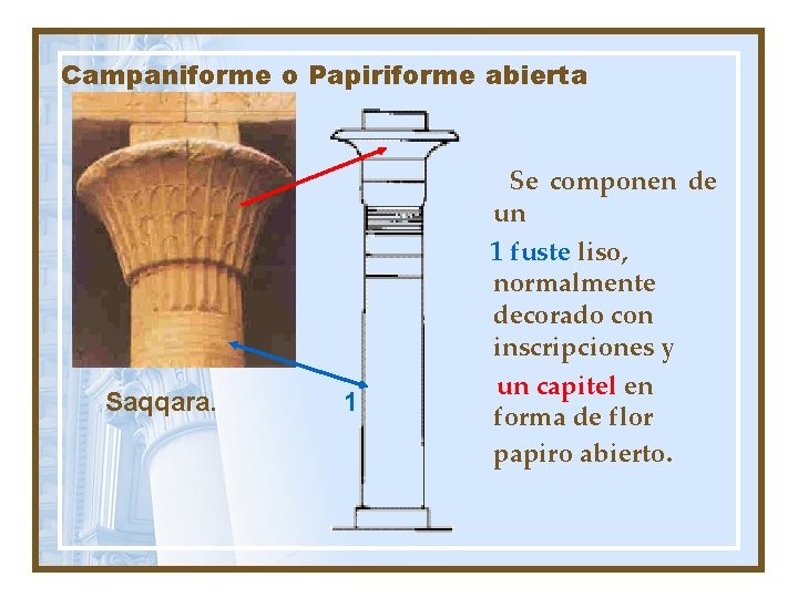 Campaniforme o Papiriforme abierta Saqqara. 1 Se componen de un 1 fuste liso, normalmente