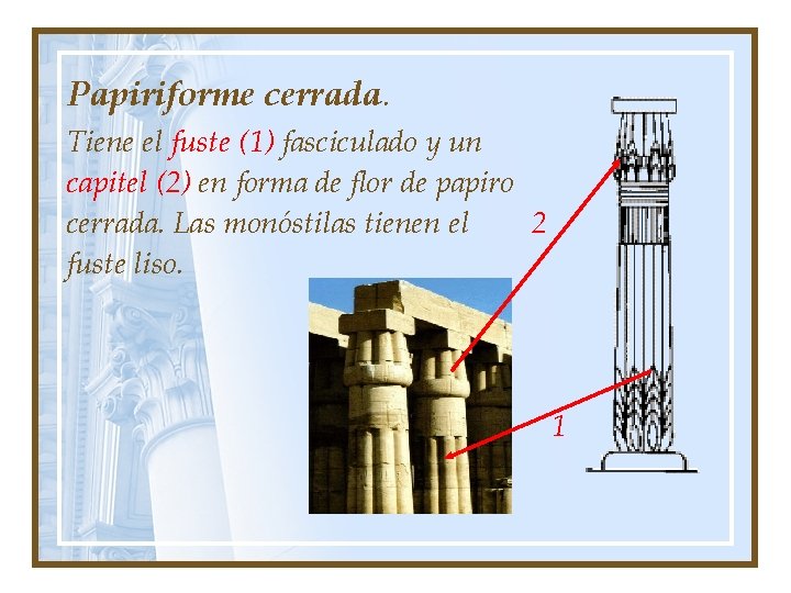 Papiriforme cerrada. Tiene el fuste (1) fasciculado y un capitel (2) en forma de