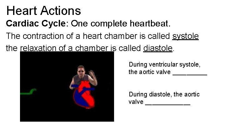 Heart Actions Cardiac Cycle: One complete heartbeat. The contraction of a heart chamber is