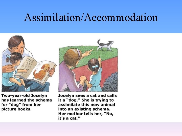 Assimilation/Accommodation 