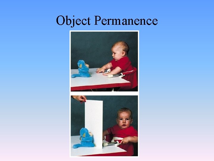 Object Permanence 