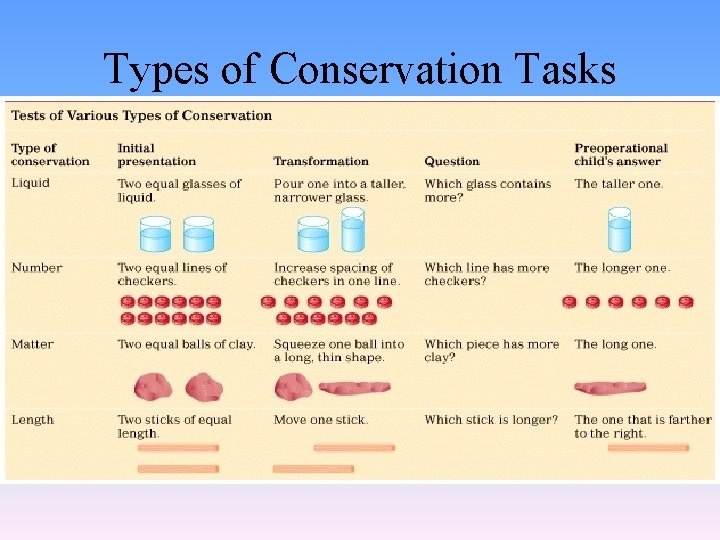 Types of Conservation Tasks 