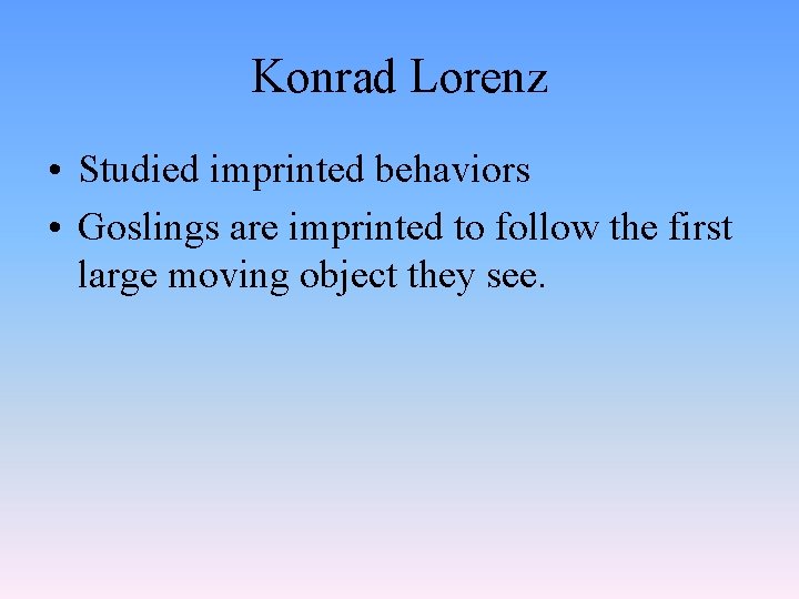 Konrad Lorenz • Studied imprinted behaviors • Goslings are imprinted to follow the first