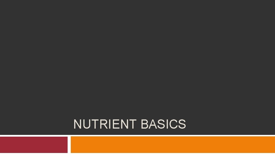 NUTRIENT BASICS 