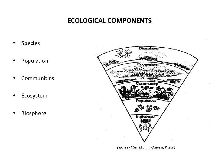 ECOLOGICAL COMPONENTS • Species • Population • Communities • Ecosystem • Biosphere (Source -