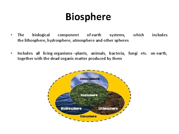 Biosphere • The biological component of earth systems, the lithosphere, hydrosphere, atmosphere and other