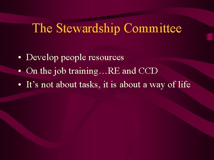 The Stewardship Committee • Develop people resources • On the job training…RE and CCD