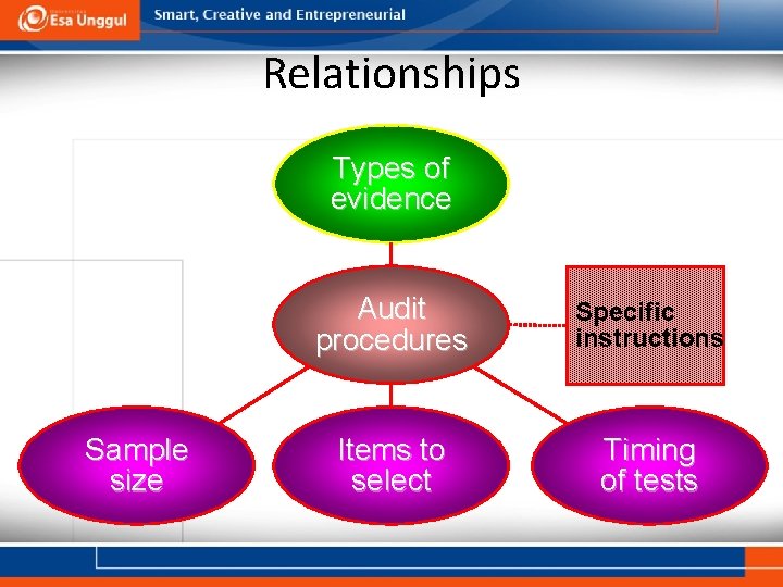 Relationships Types of evidence Sample size Audit procedures Specific instructions Items to select Timing