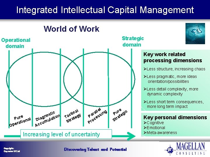 Integrated Intellectual Capital Management World of Work Strategic domain Operational domain Key work related Integrated Intellectual Capital Management World of Work Strategic domain Operational domain Key work related