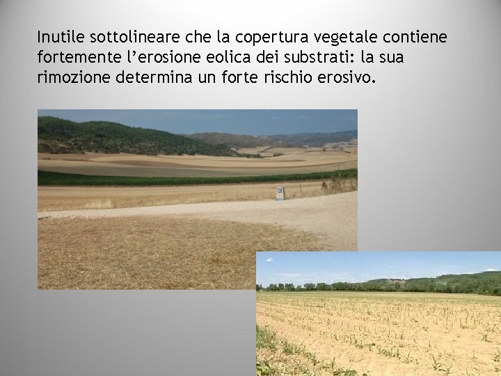 Inutile sottolineare che la copertura vegetale contiene fortemente l’erosione eolica dei substrati: la sua