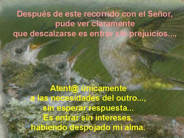 Después de este recorrido con el Señor, pude ver claramente que descalzarse es entrar