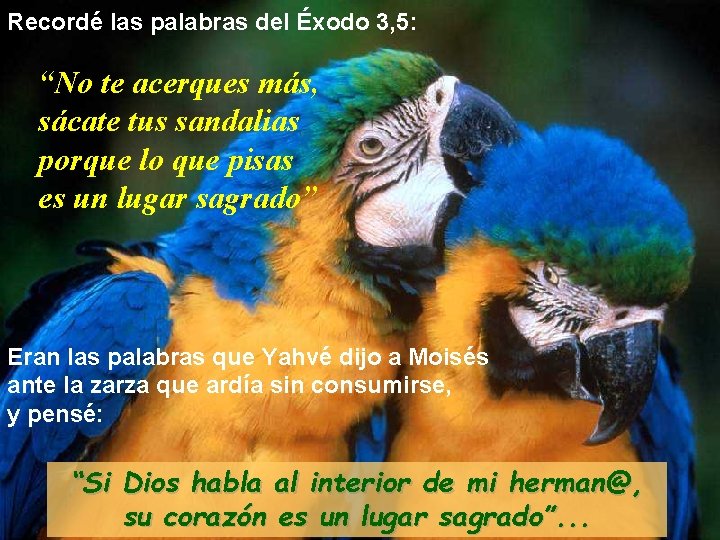 Recordé las palabras del Éxodo 3, 5: “No te acerques más, sácate tus sandalias