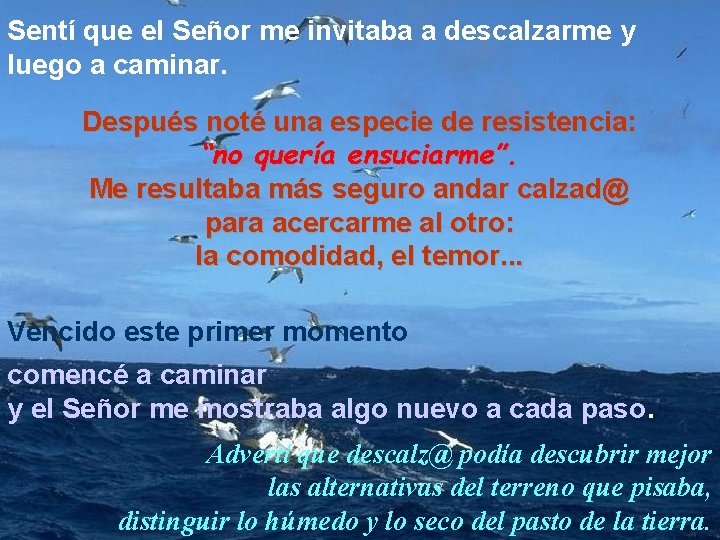 Sentí que el Señor me invitaba a descalzarme y luego a caminar. Después noté