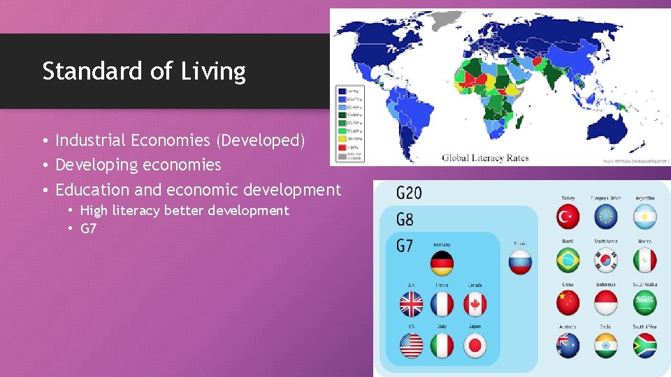 Standard of Living • Industrial Economies (Developed) • Developing economies • Education and economic