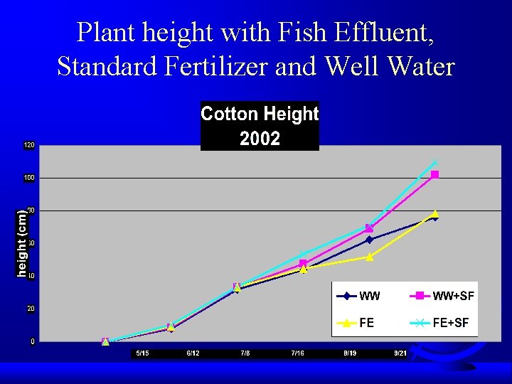 Plant height with Fish Effluent, Standard Fertilizer and Well Water 