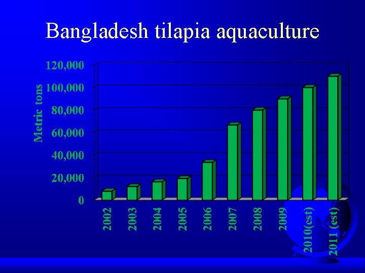 Bangladesh tilapia aquaculture 