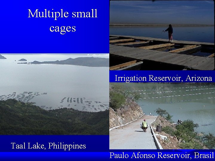 Multiple small cages Irrigation Reservoir, Arizona Taal Lake, Philippines Paulo Afonso Reservoir, Brasil 