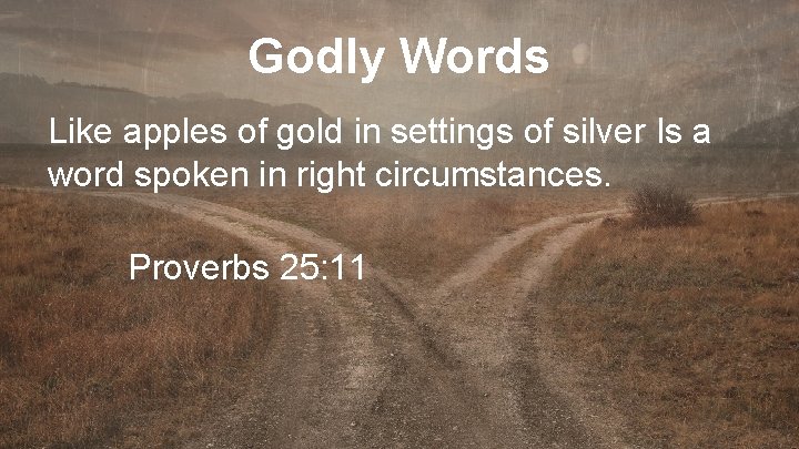 Godly Words Like apples of gold in settings of silver Is a word spoken