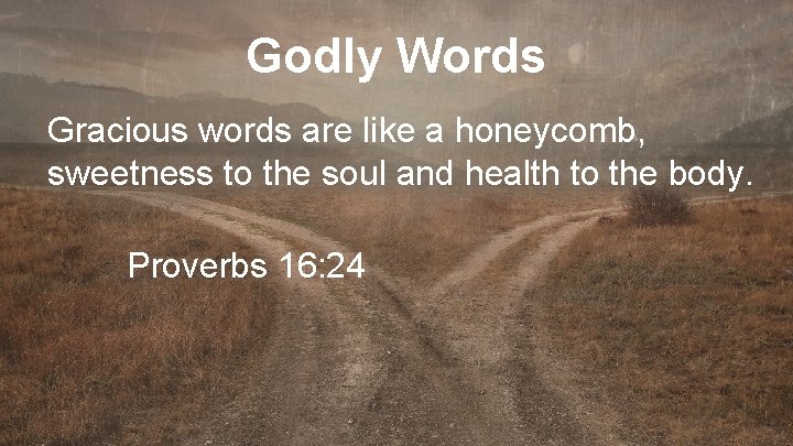 Godly Words Gracious words are like a honeycomb, sweetness to the soul and health