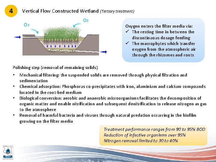 4 Vertical Flow Constructed Wetland (Tertiary treatment) O 2 Oxygen enters the filter media