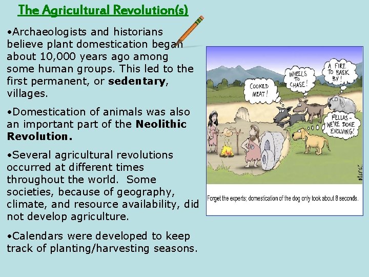 The Agricultural Revolution(s) • Archaeologists and historians believe plant domestication began about 10, 000