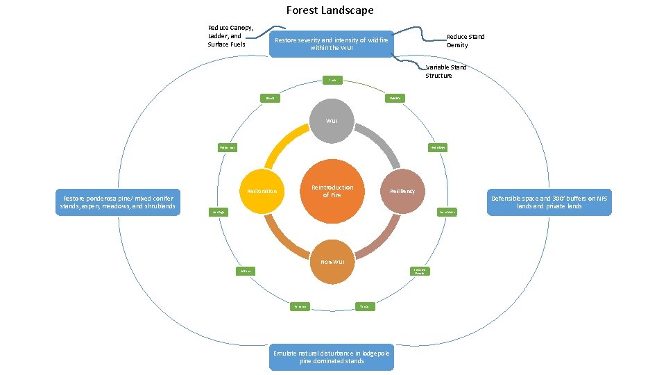 Forest Landscape Reduce Canopy, Ladder, and Surface Fuels Reduce Stand Density Restore severity and
