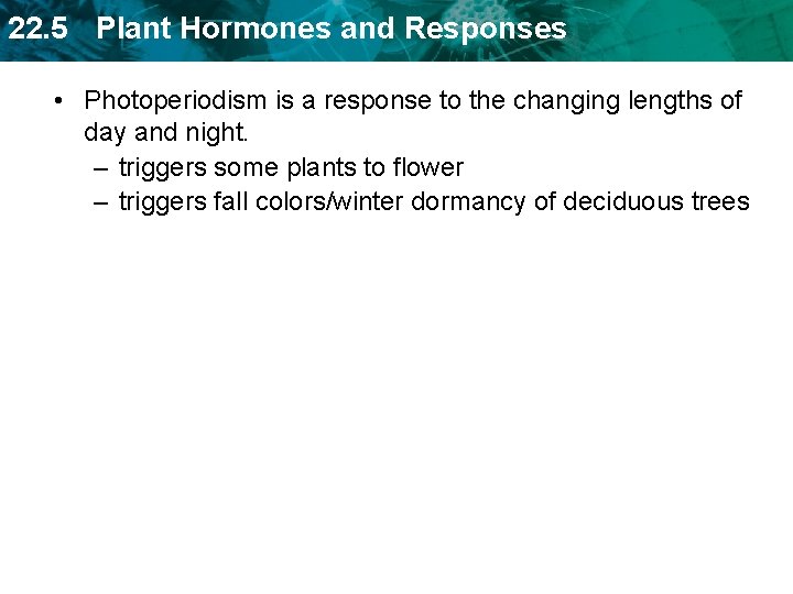 22. 5 Plant Hormones and Responses • Photoperiodism is a response to the changing