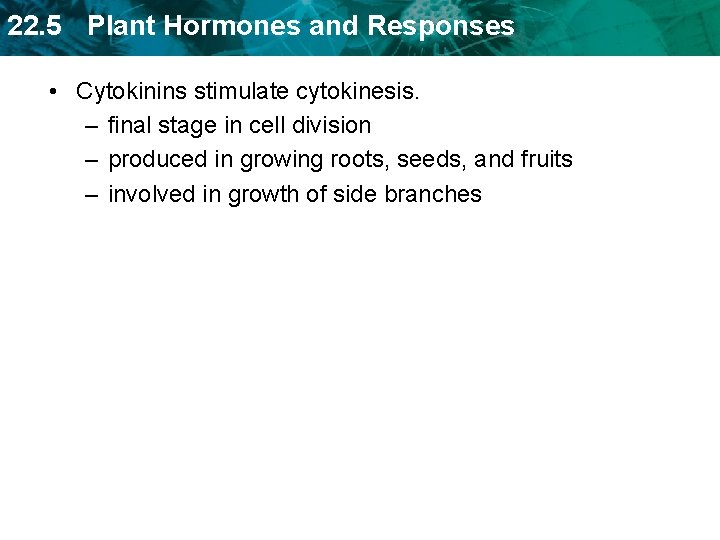 22. 5 Plant Hormones and Responses • Cytokinins stimulate cytokinesis. – final stage in